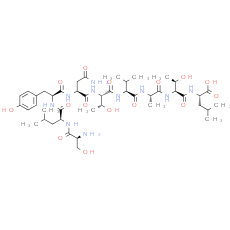 HIV p17 Gag (77-85)