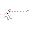 Dodecanoic acid ingenol ester