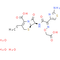Cefixime trihydrate