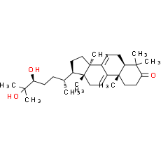 Ganodermanondiol