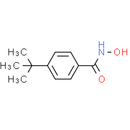 4-(tert-Butyl)-benzhydroxamic Acid