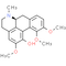 Corydine