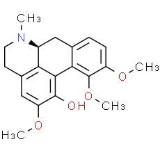 Corydine