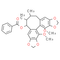 InteriotherinA