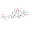 Ganoderic acid B