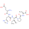 Fibrinogen-Binding Peptide