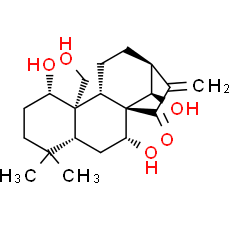 Kamebakaurin