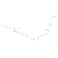 C-Peptide, dog