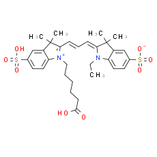 CY3