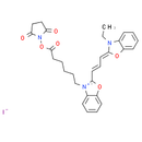 Cy2-SE (iodine)