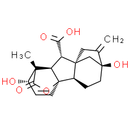 Gibberellic acid