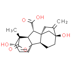 Gibberellic acid