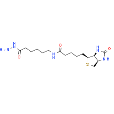 Biotin LC hydrazide