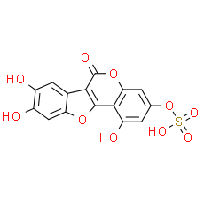 Demethylwedelolactone Sulfate