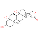 Periplogenin