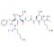 Eledoisin Related Peptide