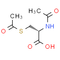 Dacisteine