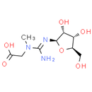 Creatine riboside