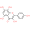 Herbacetin