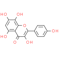 Herbacetin