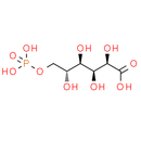 6-Phosphogluconic acid