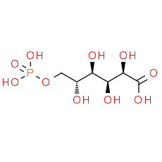 6-Phosphogluconic acid