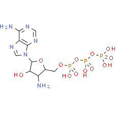 3'-Deoxy-3'-amino-ATP