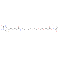 Biotin-PEG4-NHS ester