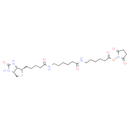 Biotin-LC-LC-NHS