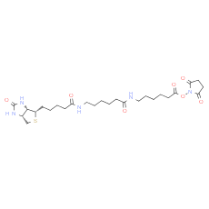 Biotin-LC-LC-NHS