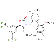CKD-519