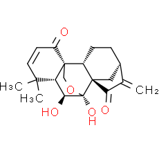 Eriocalyxin B