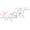 Gymnemic acid I