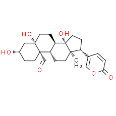Hellebrigenin