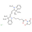 Cy3 NHS ester