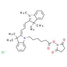 Cy3 NHS ester