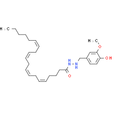OMDM-6