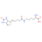 Biocytin