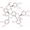 Cinnamtannin B-1