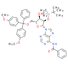 5'-O-DMT-2'-O-TBDMS-N-Bz-Adenosine