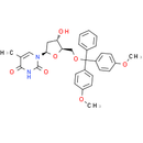 5'-O-DMT-dT