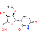 2′-O-Methyluridine