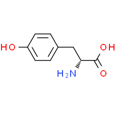 D-Tyrosine