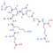 C-telopeptide