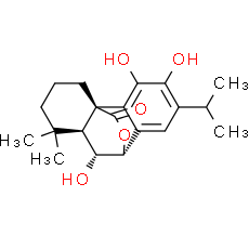 Isorosmanol