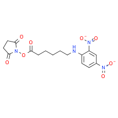DNP-X, SE