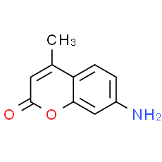 7-Amino-4-methylcoumarin