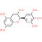 (+)-Gallocatechin