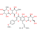 Epmedin C
