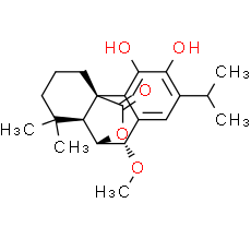 7-Methoxyrosmanol